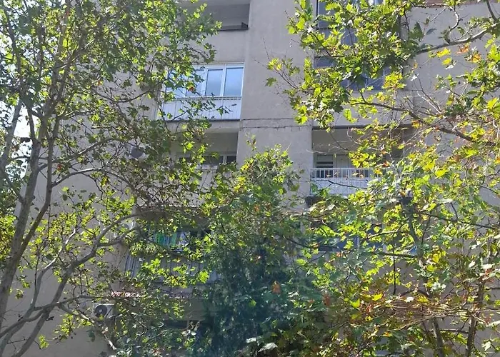 Cozy Near Center Appartement